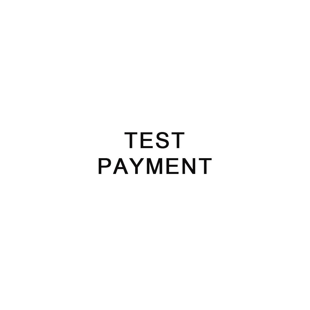 test payment